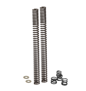 Lowering Springs